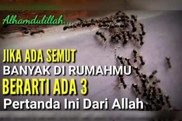 arti banyak semut hitam di rumah menurut islam